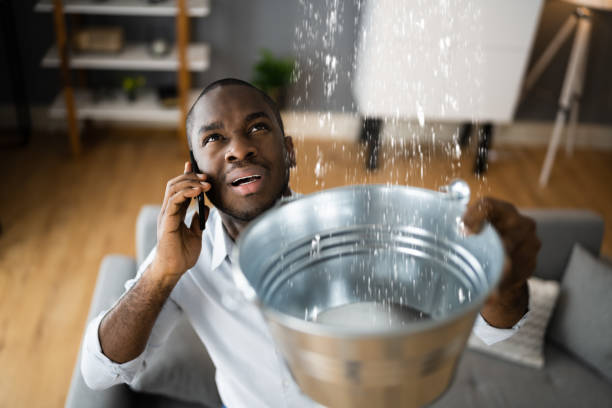 Best Ceiling water damage repair  in Coal Run Village, KY