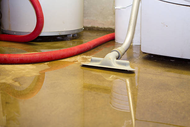 Best Water damage restoration mold remediation  in Coal Run Village, KY